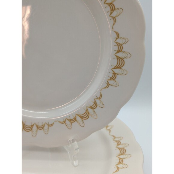 Vtg Buffalo China Dinner Plate 9.5" Mustard Loops Restaurant Ware Replacement - Picture 2 of 4